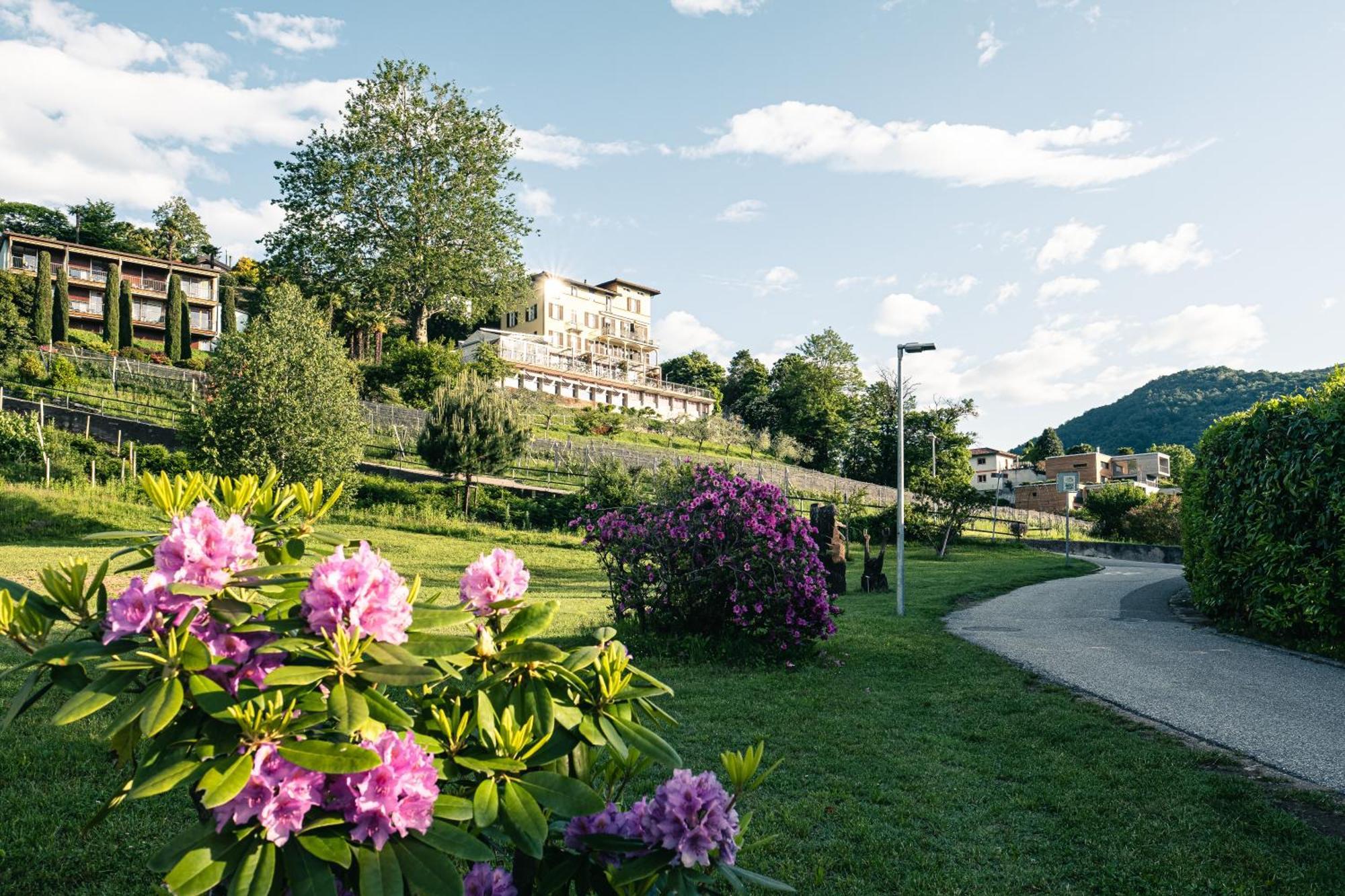 Paladina Hotel Pura Eksteriør billede